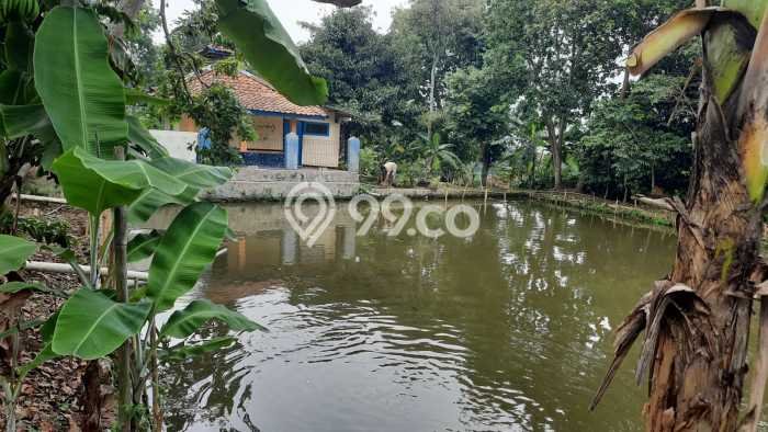 Lahan Strategis di Tajur Halang Dijual dengan Luas 2000m2 Lahan Strategis di Tajur Halang Dijual dengan Luas 2000m2