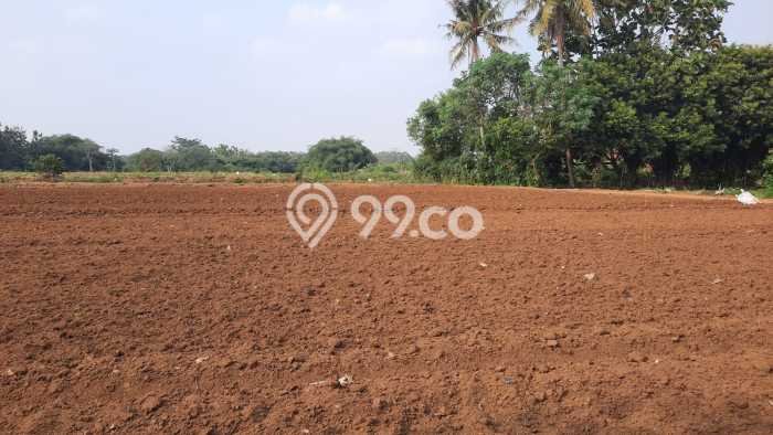 Tanah Dijual Area Strategis di Semplak Bogor 60000m2 Tanah Dijual Area Strategis di Semplak Bogor 60000m2