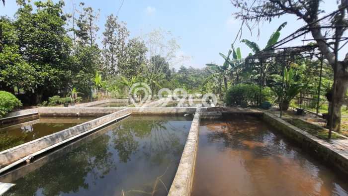 Tanah Kavling untuk Dijual di Ciampea Bogor 50000m2 Tanah Kavling untuk Dijual di Ciampea Bogor 50000m2