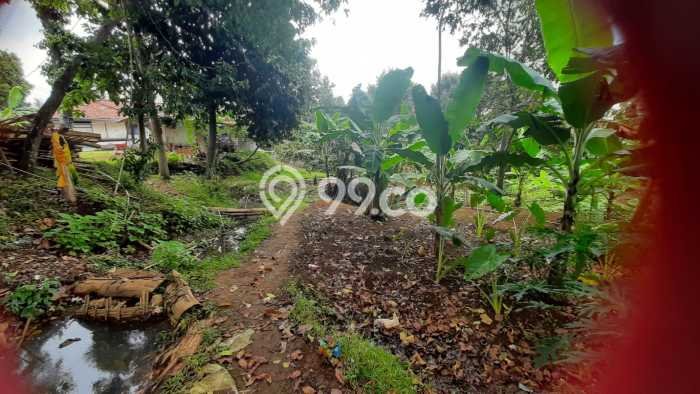 Lahan Strategis di Tajur Halang Dijual dengan Luas 2000m2 Lahan Strategis di Tajur Halang Dijual dengan Luas 2000m2
