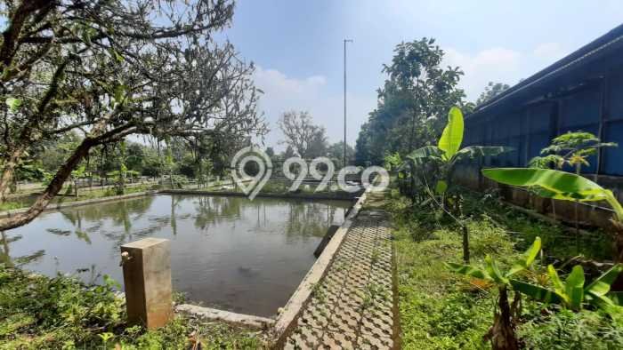 Tanah Kavling untuk Dijual di Ciampea Bogor 50000m2 Tanah Kavling untuk Dijual di Ciampea Bogor 50000m2