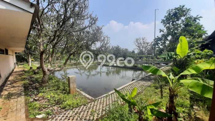 Tanah Kavling untuk Dijual di Ciampea Bogor 50000m2 Tanah Kavling untuk Dijual di Ciampea Bogor 50000m2