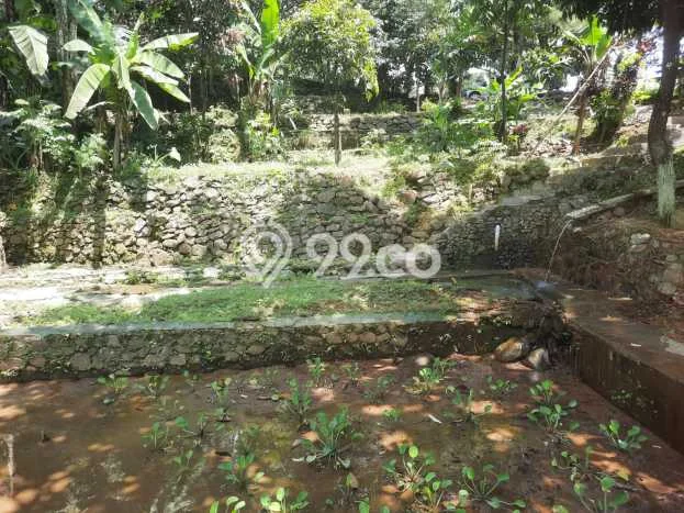Lahan untuk Dijual Lokasi Sukamakmur, Bogor Luas 2173m2 SHM Lahan untuk Dijual Lokasi Sukamakmur, Bogor Luas 2173m2 SHM
