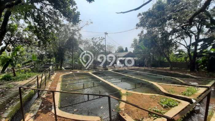 Tanah Kavling untuk Dijual di Ciampea Bogor 50000m2 Tanah Kavling untuk Dijual di Ciampea Bogor 50000m2