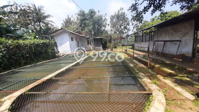 Tanah Kavling untuk Dijual di Ciampea Bogor 50000m2 Tanah Kavling untuk Dijual di Ciampea Bogor 50000m2