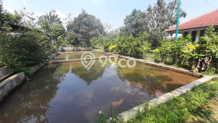 Tanah Kavling untuk Dijual di Ciampea Bogor 50000m2 Tanah Kavling untuk Dijual di Ciampea Bogor 50000m2