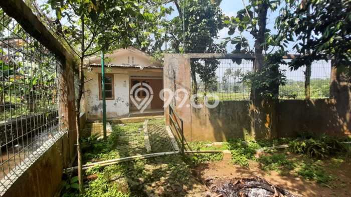 Tanah Kavling untuk Dijual di Ciampea Bogor 50000m2 Tanah Kavling untuk Dijual di Ciampea Bogor 50000m2