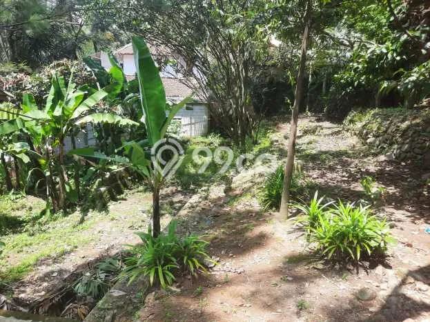 Lahan untuk Dijual Lokasi Sukamakmur, Bogor Luas 2173m2 SHM Lahan untuk Dijual Lokasi Sukamakmur, Bogor Luas 2173m2 SHM