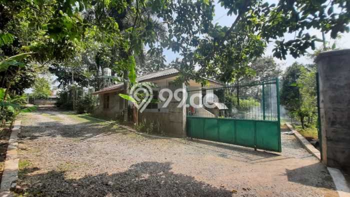 Tanah Kavling untuk Dijual di Ciampea Bogor 50000m2 Tanah Kavling untuk Dijual di Ciampea Bogor 50000m2