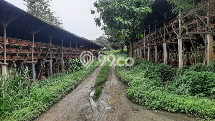Tanah Strategis Dijual di Rumpin Bogor 110000m2 Tanah Strategis Dijual di Rumpin Bogor 110000m2
