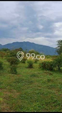 Tanah Kavling untuk Dijual di Nanggung Bogor 20515m2 Tanah Kavling untuk Dijual di Nanggung Bogor 20515m2