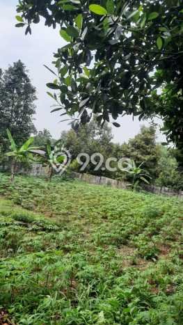 Dijual Tanah di Cijeruk Bogor Luas 960m2 SHM Dijual Tanah di Cijeruk Bogor Luas 960m2 SHM