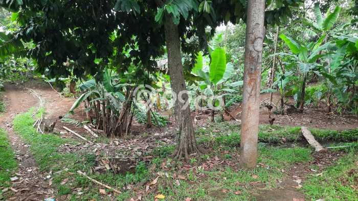 Lahan Strategis di Tajur Halang Dijual dengan Luas 2000m2 Lahan Strategis di Tajur Halang Dijual dengan Luas 2000m2