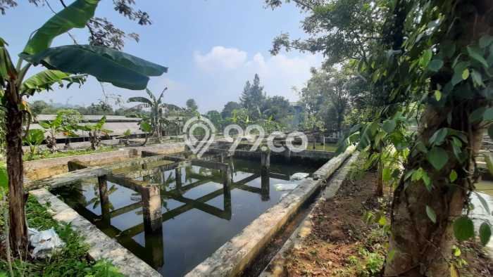 Tanah Kavling untuk Dijual di Ciampea Bogor 50000m2 Tanah Kavling untuk Dijual di Ciampea Bogor 50000m2