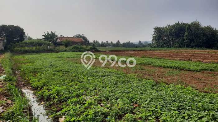 Tanah Dijual Area Strategis di Semplak Bogor 60000m2 Tanah Dijual Area Strategis di Semplak Bogor 60000m2