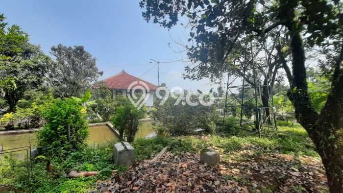 Tanah Kavling untuk Dijual di Ciampea Bogor 50000m2 Tanah Kavling untuk Dijual di Ciampea Bogor 50000m2