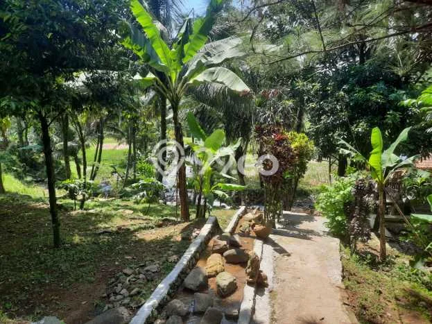 Lahan untuk Dijual Lokasi Sukamakmur, Bogor Luas 2173m2 SHM Lahan untuk Dijual Lokasi Sukamakmur, Bogor Luas 2173m2 SHM