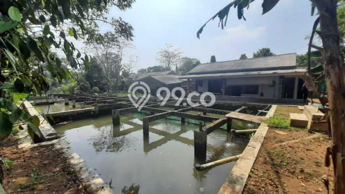 Tanah Kavling untuk Dijual di Ciampea Bogor 50000m2 Tanah Kavling untuk Dijual di Ciampea Bogor 50000m2