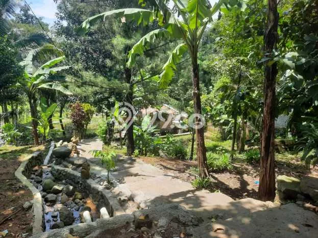 Lahan untuk Dijual Lokasi Sukamakmur, Bogor Luas 2173m2 SHM Lahan untuk Dijual Lokasi Sukamakmur, Bogor Luas 2173m2 SHM