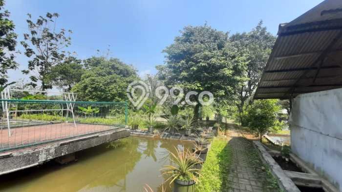 Tanah Kavling untuk Dijual di Ciampea Bogor 50000m2 Tanah Kavling untuk Dijual di Ciampea Bogor 50000m2