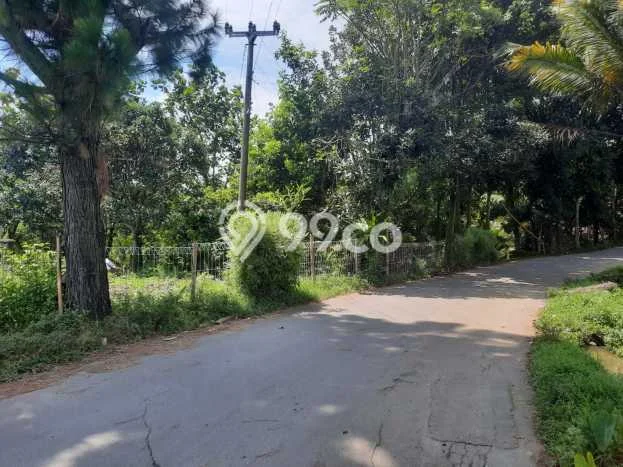 Lahan untuk Dijual Lokasi Sukamakmur, Bogor Luas 2173m2 SHM Lahan untuk Dijual Lokasi Sukamakmur, Bogor Luas 2173m2 SHM