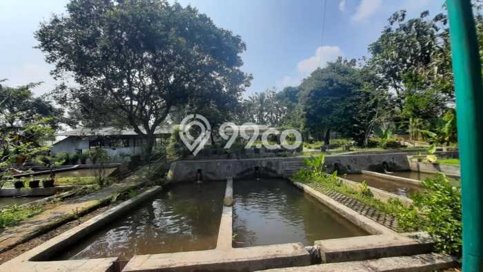 Tanah Kavling untuk Dijual di Ciampea Bogor 50000m2 Tanah Kavling untuk Dijual di Ciampea Bogor 50000m2