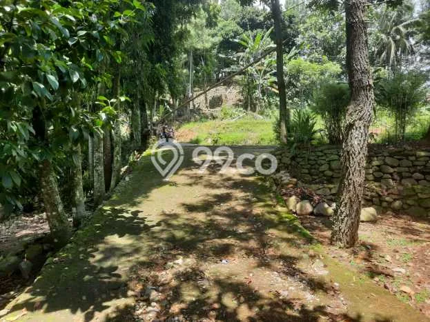 Lahan untuk Dijual Lokasi Sukamakmur, Bogor Luas 2173m2 SHM Lahan untuk Dijual Lokasi Sukamakmur, Bogor Luas 2173m2 SHM