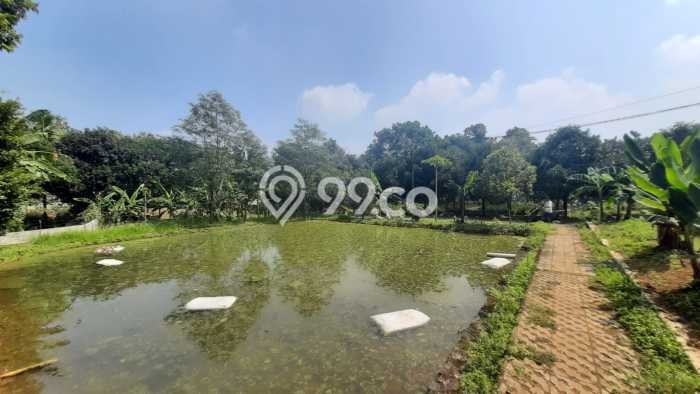 Tanah Kavling untuk Dijual di Ciampea Bogor 50000m2 Tanah Kavling untuk Dijual di Ciampea Bogor 50000m2