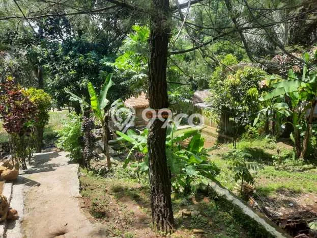 Lahan untuk Dijual Lokasi Sukamakmur, Bogor Luas 2173m2 SHM Lahan untuk Dijual Lokasi Sukamakmur, Bogor Luas 2173m2 SHM