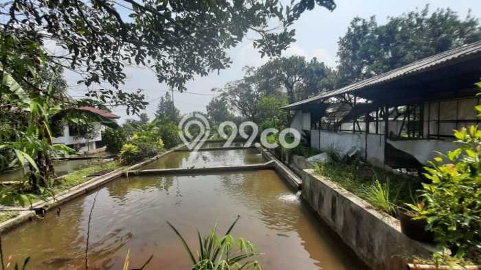 Tanah Kavling untuk Dijual di Ciampea Bogor 50000m2 Tanah Kavling untuk Dijual di Ciampea Bogor 50000m2