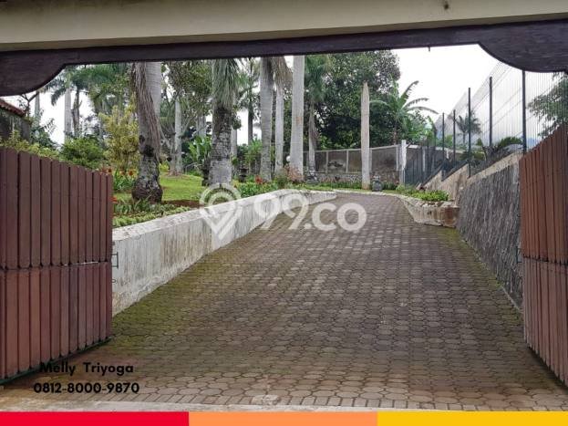 Jarang Ada! Tanah di Cipanas Punya Luas 4790m2 SHM Jarang Ada! Tanah di Cipanas Punya Luas 4790m2 SHM