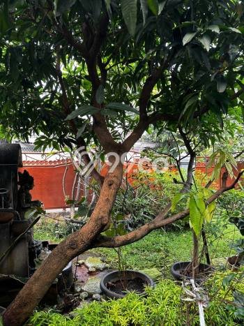 Rumah Elit Modern Tanpa Renovasi di Jatiwaringin Jakarta Timur Rumah Elit Modern Tanpa Renovasi di Jatiwaringin Jakarta Timur