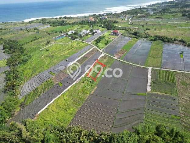 Tanah Strategis Kawasan Kediri, Luas 177m², Disewakan Tanah Strategis Kawasan Kediri, Luas 177m², Disewakan