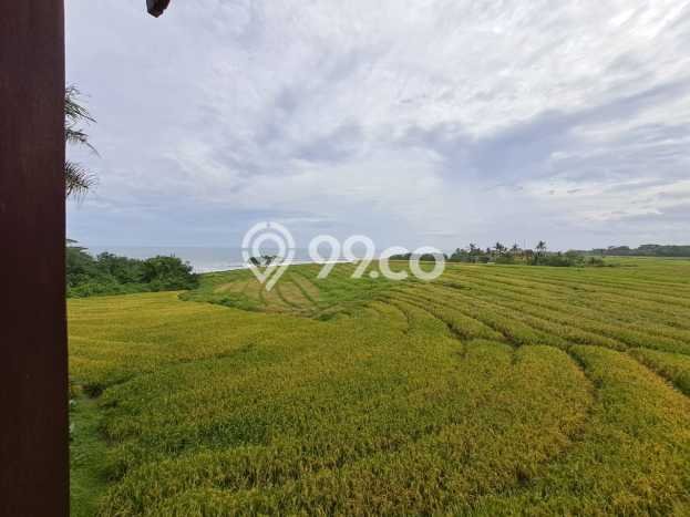Properti Mewah LT 2000m² Dekat Pusat Kota di Kediri, Tabanan Properti Mewah LT 2000m² Dekat Pusat Kota di Kediri, Tabanan