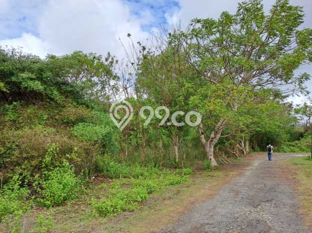 Tanah Dijual Lokasi Strategis di Badung dengan Luas 5950m2 Tanah Dijual Lokasi Strategis di Badung dengan Luas 5950m2