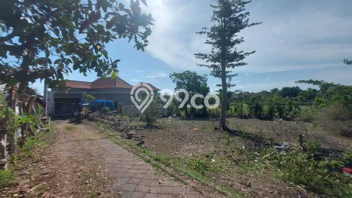 Untuk Dijual Tanah di Badung, Luas 1000m2 SHM Untuk Dijual Tanah di Badung, Luas 1000m2 SHM