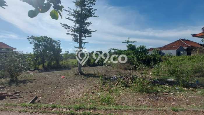 Untuk Dijual Tanah di Badung, Luas 1000m2 SHM Untuk Dijual Tanah di Badung, Luas 1000m2 SHM