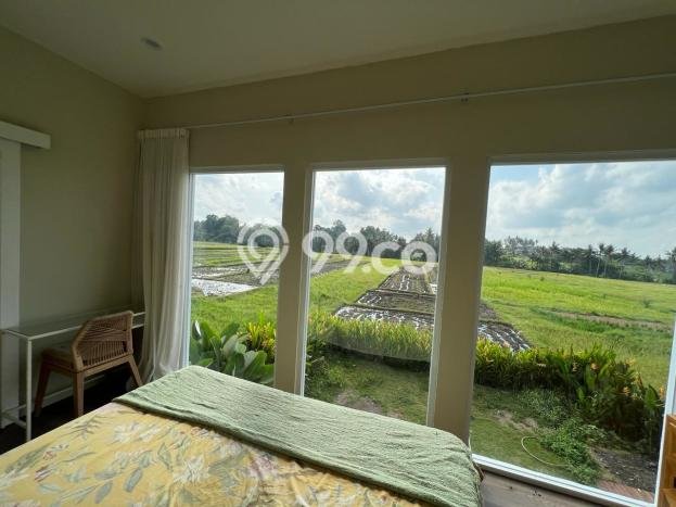 PREMIUM LIVING! Rumah kawasan Belalang, 3 KM, Kawasan Prospektif, LT 500m² LB 120m² PREMIUM LIVING! Rumah kawasan Belalang, 3 KM, Kawasan Prospektif, LT 500m² LB 120m²