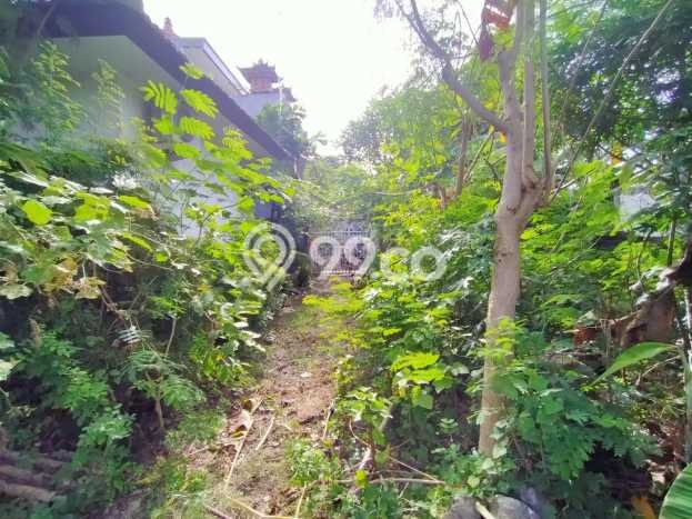 DIJUAL CEPAT! Rumah Premium di Benoa, Badung, Luas 205m² Bangunan 45m² Bisa Nego! DIJUAL CEPAT! Rumah Premium di Benoa, Badung, Luas 205m² Bangunan 45m² Bisa Nego!