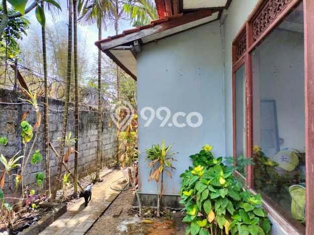 SPECIAL OFFER! Rumah Asri area Nusa Dua, LT 300m² LB 160m² SPECIAL OFFER! Rumah Asri area Nusa Dua, LT 300m² LB 160m²