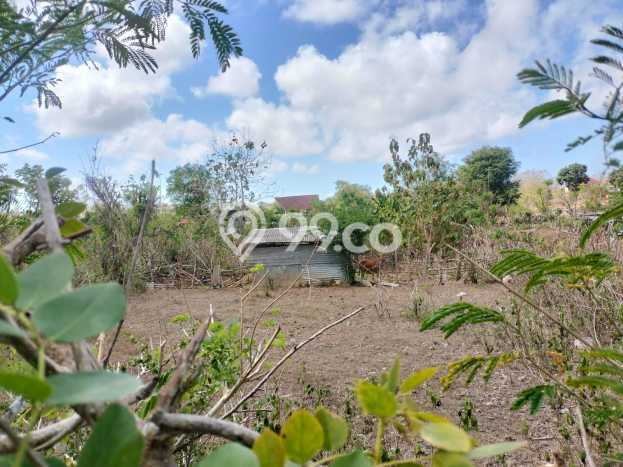 Tanah Kavling Dijual di Ungasan, Badung dengan Luas Tanah 1300m2 Tanah Kavling Dijual di Ungasan, Badung dengan Luas Tanah 1300m2