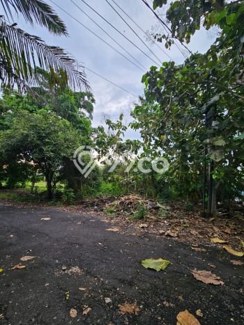 Kavling Tanah untuk Dijual di Nusa Dua, Badung, Luas 1500m2 Kavling Tanah untuk Dijual di Nusa Dua, Badung, Luas 1500m2
