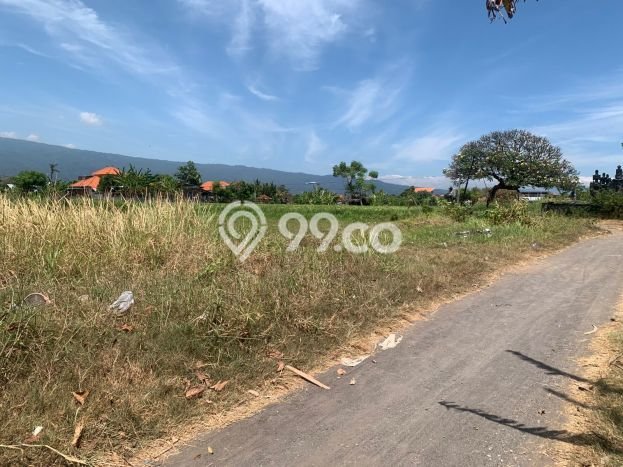Lahan Dijual Lokasi Strategis di Buleleng dengan Luas 800m2 Lahan Dijual Lokasi Strategis di Buleleng dengan Luas 800m2