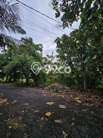 Kavling Tanah untuk Dijual di Nusa Dua, Badung, Luas 1500m2 Kavling Tanah untuk Dijual di Nusa Dua, Badung, Luas 1500m2