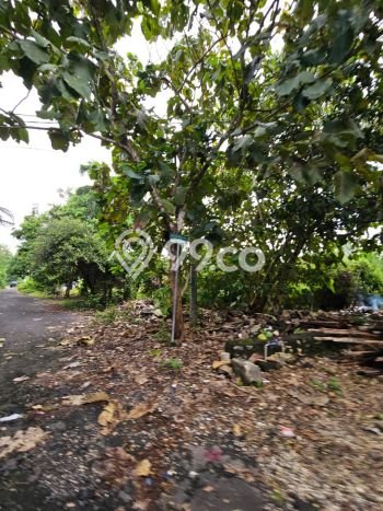 Kavling Tanah untuk Dijual di Nusa Dua, Badung, Luas 1500m2 Kavling Tanah untuk Dijual di Nusa Dua, Badung, Luas 1500m2