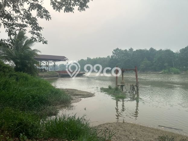 Jarang Ada! Tanah di Indralaya Punya Luas 290000m2 SHM Jarang Ada! Tanah di Indralaya Punya Luas 290000m2 SHM