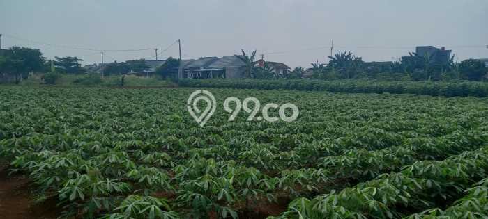 Lahan Strategis di Sawangan Dijual dengan Luas 4195m2 Lahan Strategis di Sawangan Dijual dengan Luas 4195m2