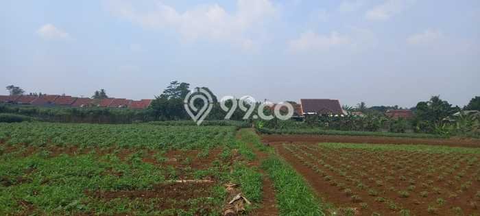 Lahan Strategis di Sawangan Dijual dengan Luas 4195m2 Lahan Strategis di Sawangan Dijual dengan Luas 4195m2