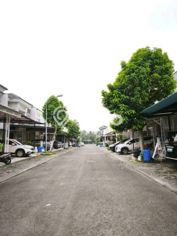 Sewa Rumah Murah di Gading Serpong Tangerang Punya 3 Kamar Tidur Sewa Rumah Murah di Gading Serpong Tangerang Punya 3 Kamar Tidur