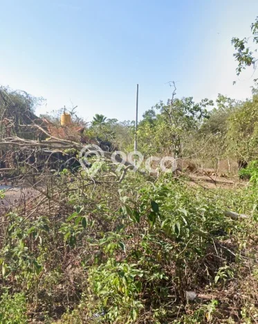 Disewakan Tanah di Badung, Luas 64000m2 Area Berkembang Disewakan Tanah di Badung, Luas 64000m2 Area Berkembang